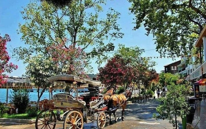 Istanbul All-Inclusive Princes’ Islands Tour+Lunch & Hotel Pickup Image 2