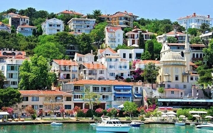 Istanbul All-Inclusive Princes’ Islands Tour+Lunch & Hotel Pickup Image 4