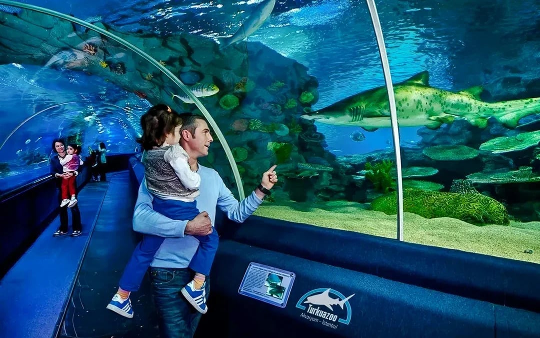 Istanbul Aquarium Skip-the-Line Tickets with Round-Trip Shuttle from Sultanahmet Image 1