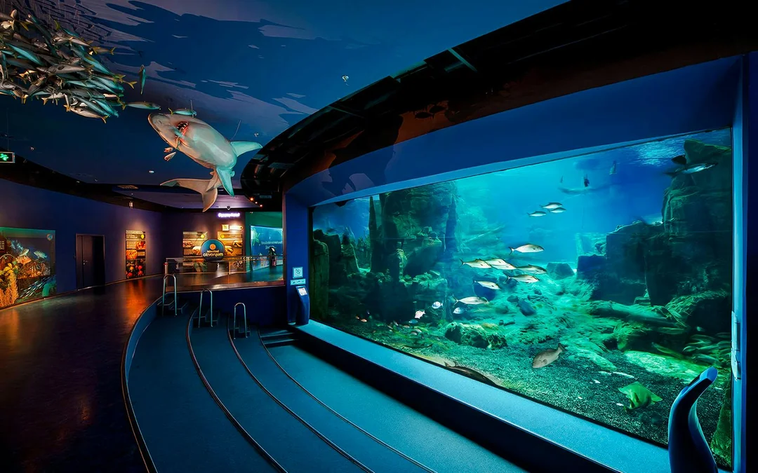 Istanbul Aquarium Skip-the-Line Tickets with Round-Trip Shuttle from Sultanahmet Image 2