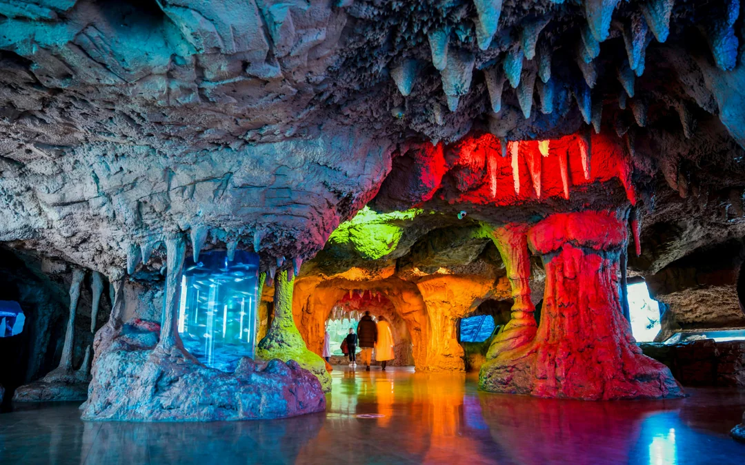 Istanbul Aquarium Skip-the-Line Tickets with Round-Trip Shuttle from Sultanahmet Image 3