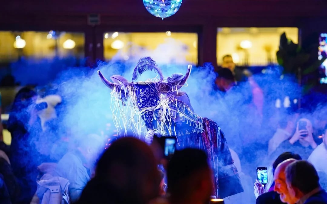 Istanbul Bosphorus Dinner Cruise with Turkish Night Show and Unlimited Soft Drinks Image 6