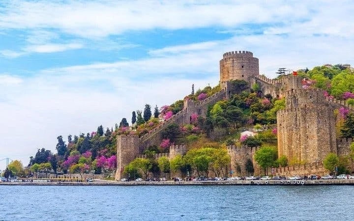 Istanbul Full Day Bosphorus Cruise and Beylerbeyi Palace Tour Image 7