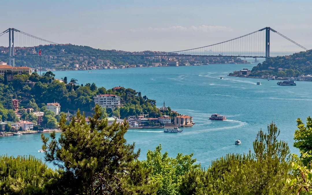 Istanbul Golden Horn and Bosphorus Sightseeing Cruise with Guide Image 12