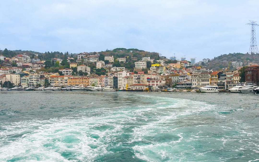 Istanbul: Guided Bosphorus Afternoon Sightseeing Cruise Image 7