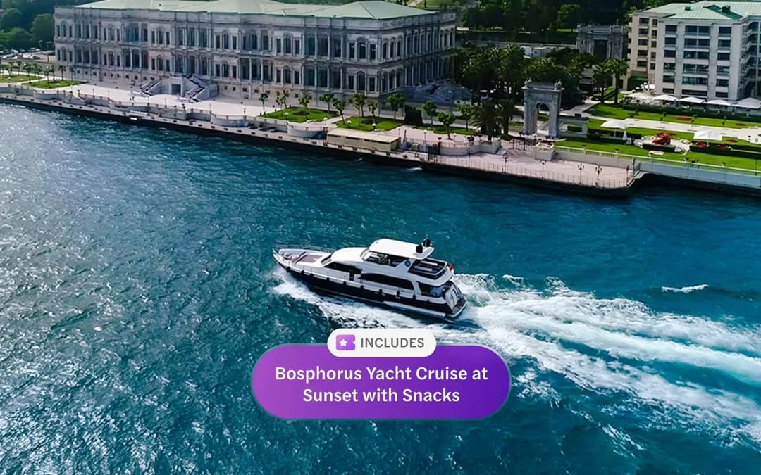 Istanbul MegaPass: Hagia Sophia & Cistern, Blue Mosque Tour, Cruise & Public Transport Image 12