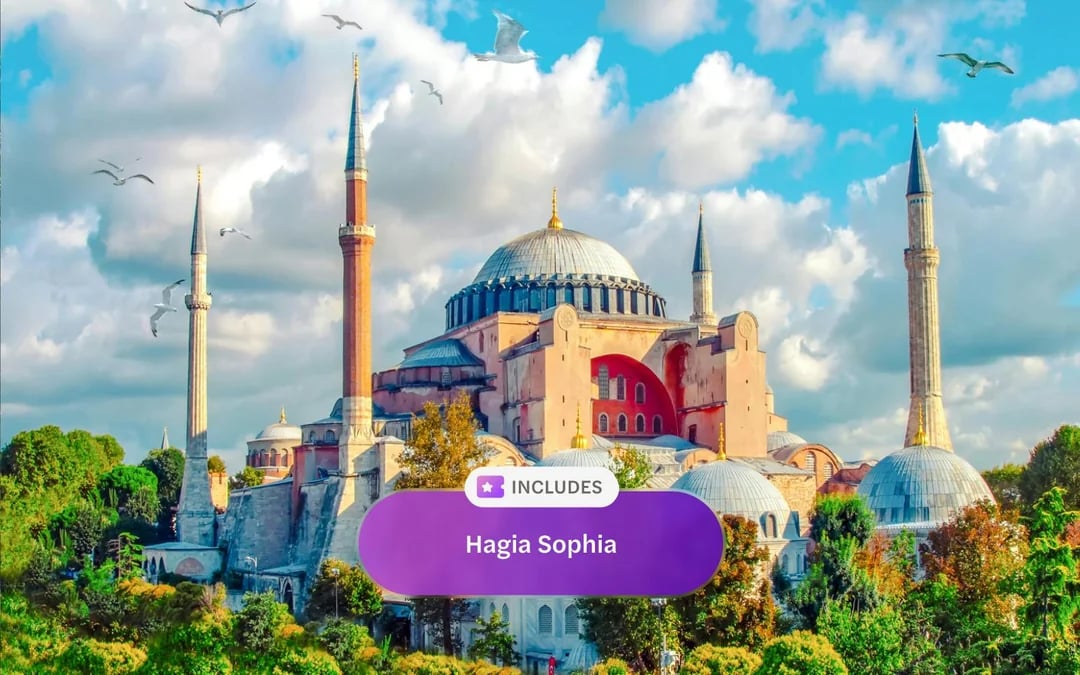 Istanbul MegaPass: Hagia Sophia & Cistern, Blue Mosque Tour, Cruise & Public Transport Image 4