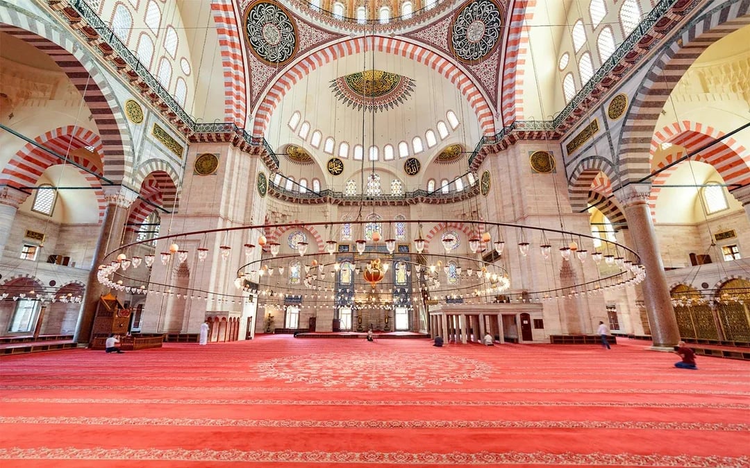 Istanbul Mosques Private Guided Tour: Hagia Sophia, Süleymaniye & Blue Mosque Image 8