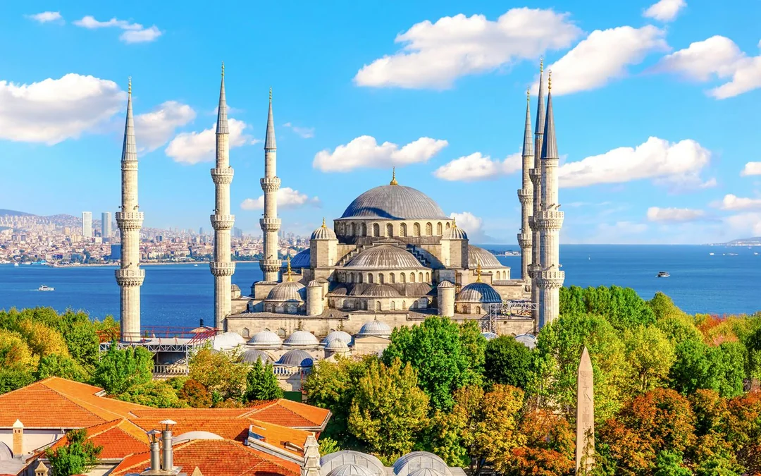 Istanbul Old Town Guided Tour with Blue Mosque & Galata Tower Entry Tickets Image 2