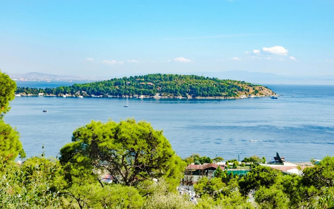 Istanbul Princes' Islands Shared Swimming Yacht Cruise Image 2