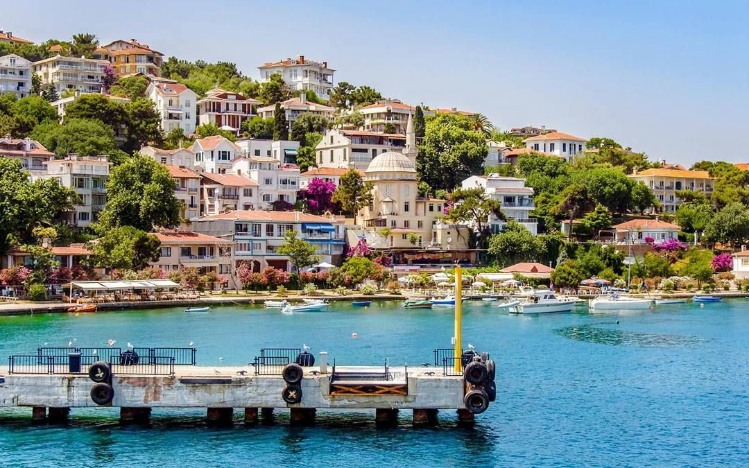 Istanbul to Princes' Islands Full-Day Guided Tour Image 1