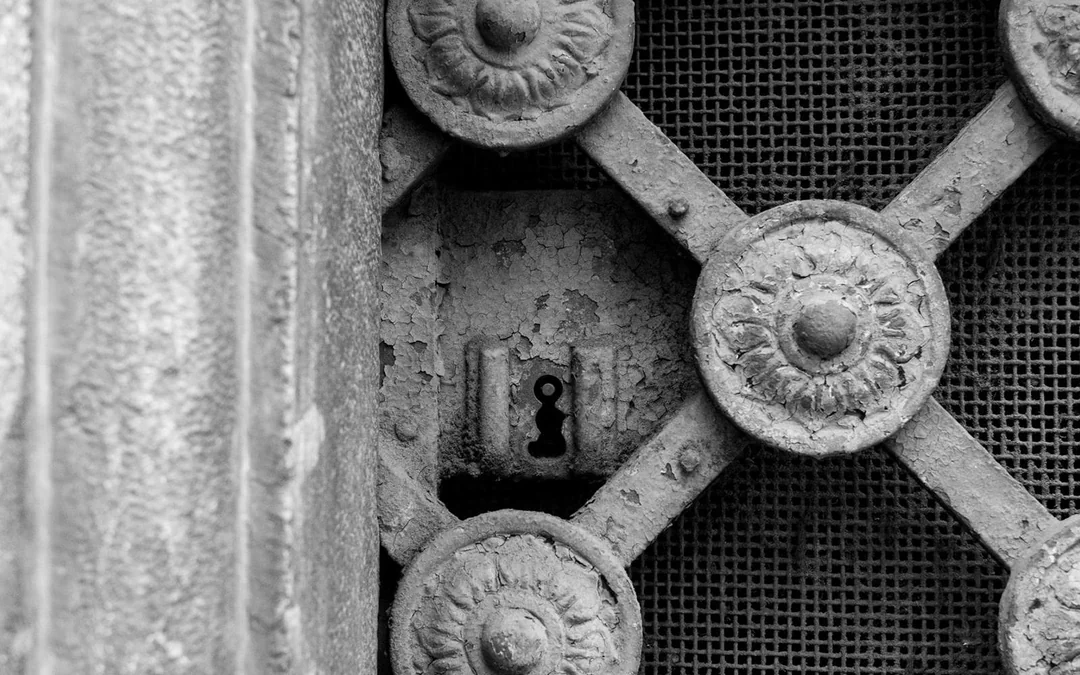 Italian Guided Tour through the Torino Noir Image 5