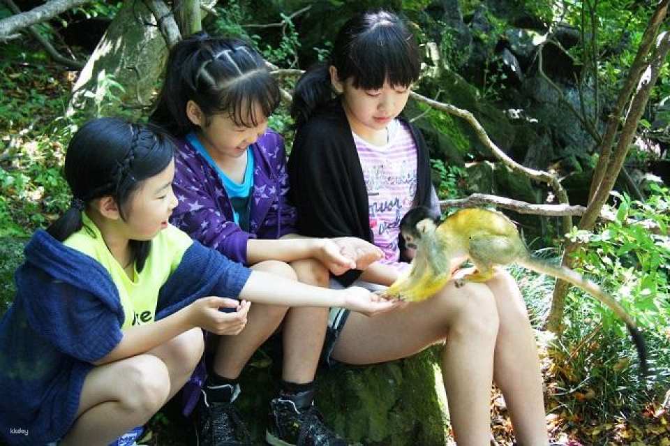 Izu, Shizuoka, Japan | Izu Cactus Zoo e-ticket