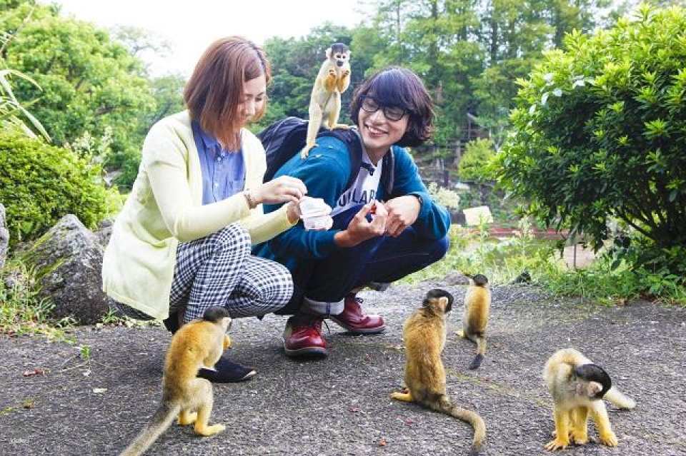 Izu, Shizuoka, Japan | Izu Cactus Zoo e-ticket