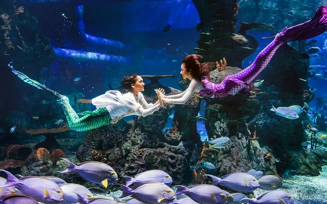 Jakarta Aquarium Safari Tickets Image 2