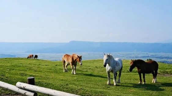 Japan Kyushu Hidden Gems – Aso Volcano with Free Shuttle, Kusasenri