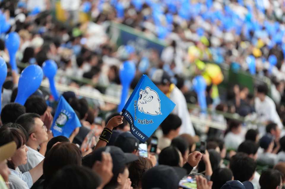 Japanese Professional Baseball Season Tickets | Saitama Seibu Lions Home Game Tickets | E-tickets