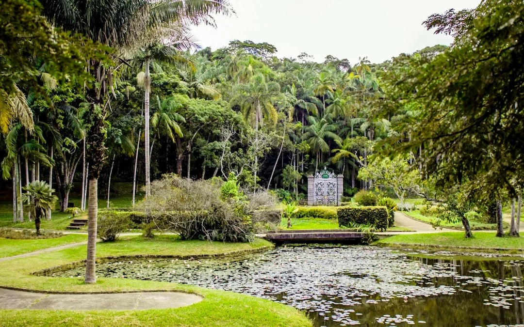 Jardim Botánico Tickets Image 4
