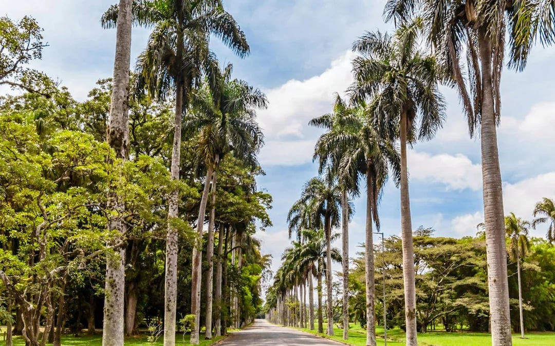 Jardim Botánico Tickets Image 8