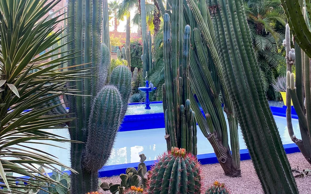 Jardin Majorelle Entry Tickets  Image 12