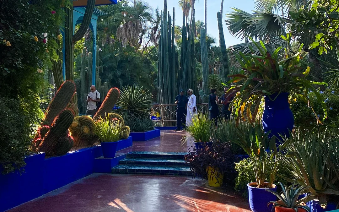 Jardin Majorelle Entry Tickets  Image 4
