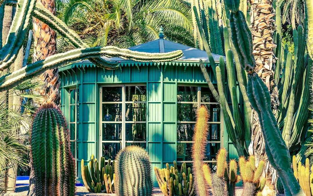 Jardin Majorelle, YSL Museum & Berber Art Museum Entry Ticket with Transport Image 4