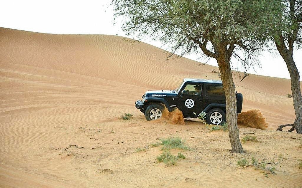 Jeep Wrangler Self-Drive Private Desert Safari with Buggy or Quad Ride, BBQ Dinner & Live Shows Image 3