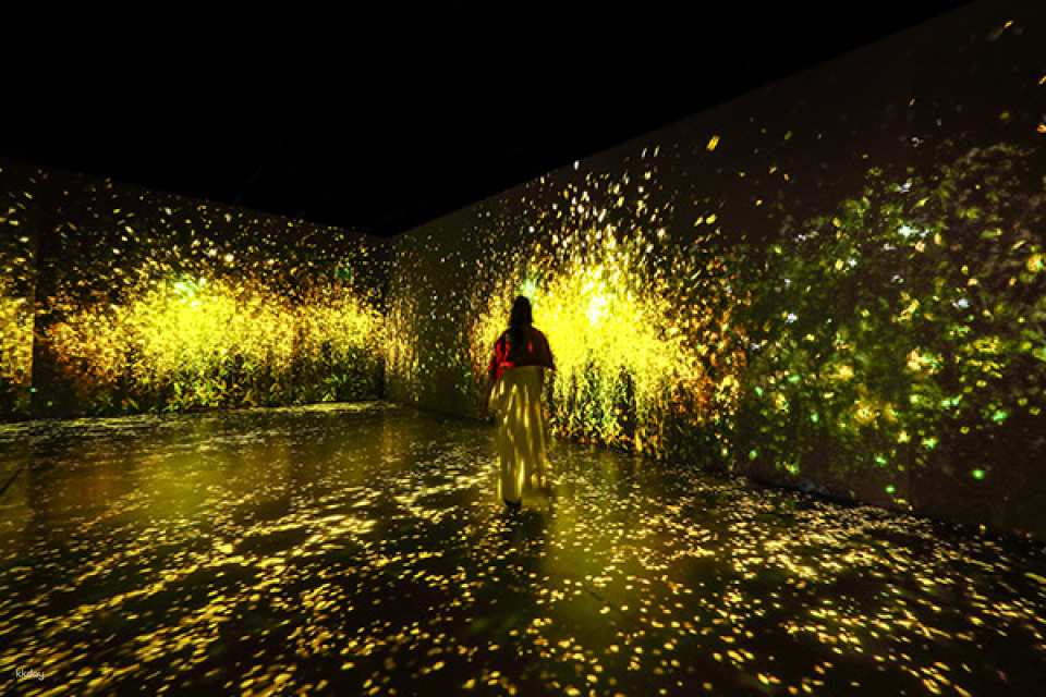 Jeju Arte Museum Discount Admission Ticket