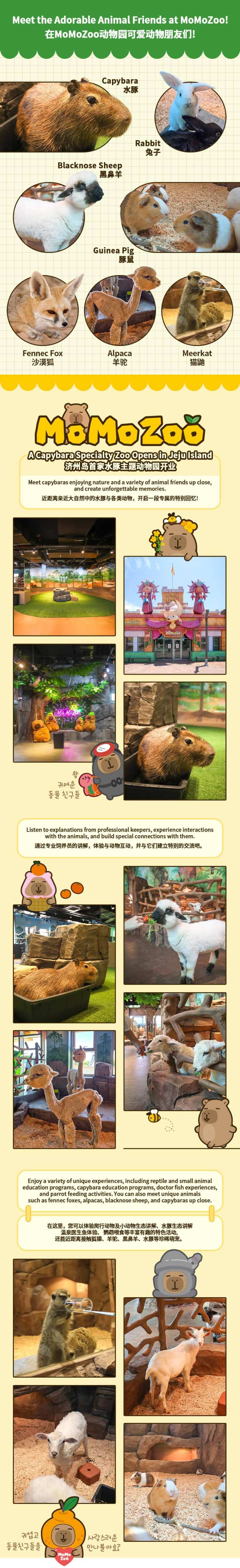 Jeju | Momoju (Jeju Shinhwa World Branch)