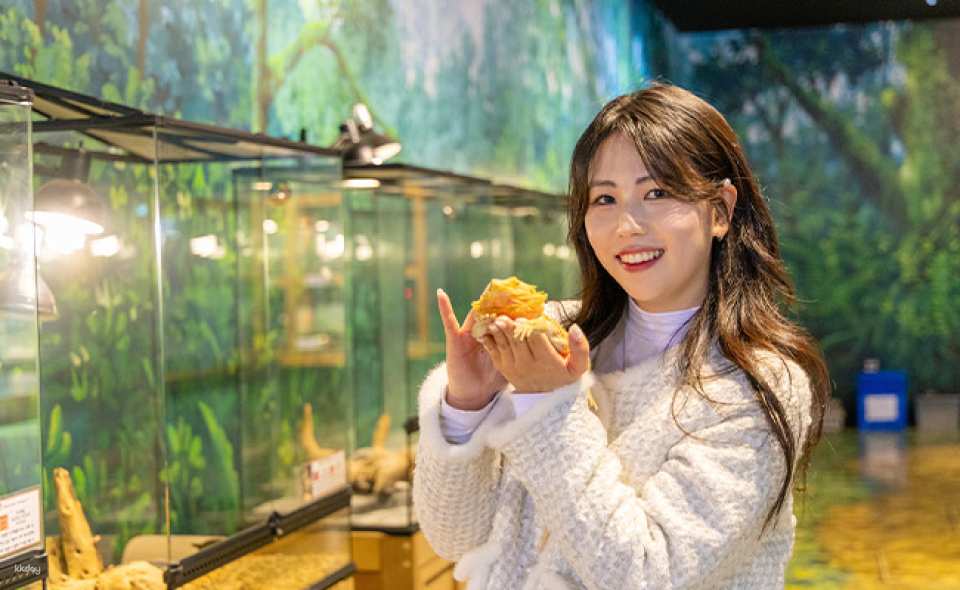 Jeju Van Gogh Garden Admission Ticket