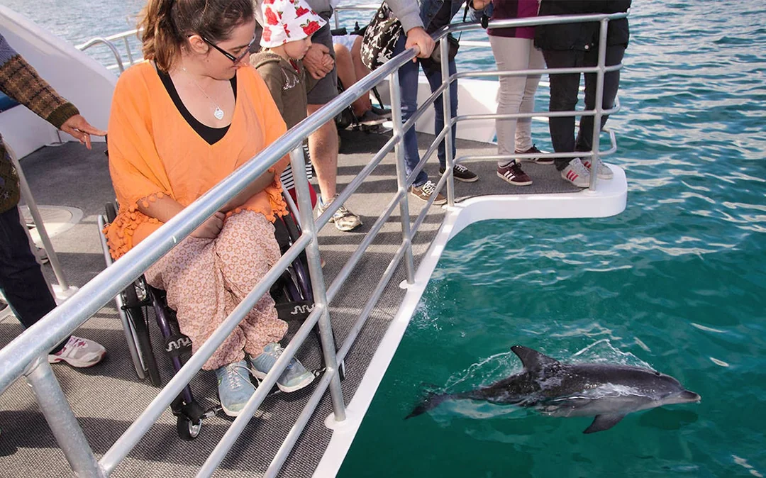 Jervis Bay Dolphin Watching Cruise Image 2