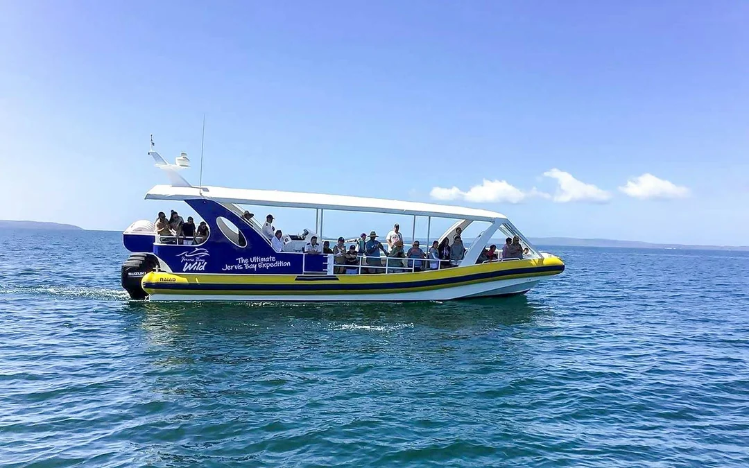 Jervis Bay Wild Whale Watching Cruise Image 2