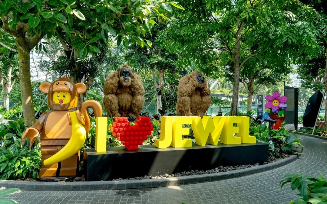 Jewel Changi 3, 4 & 5 Attraction Pass Image 8