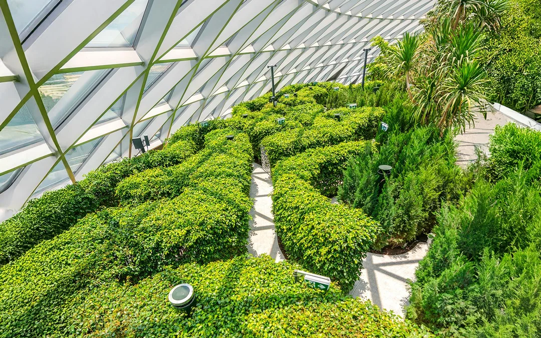 Jewel Changi Canopy Park Tickets with Mazes Image 2
