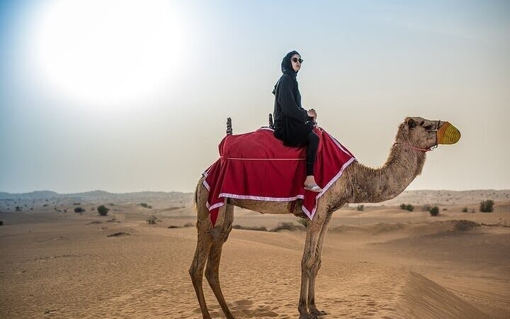 Journey Through the Palmeraie, Camel Ride & Transfer - Marrakesh Image 3