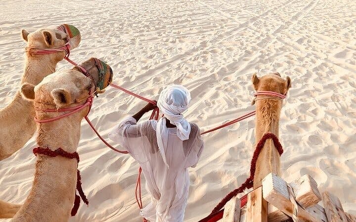 Journey Through the Palmeraie, Camel Ride & Transfer - Marrakesh Image 7