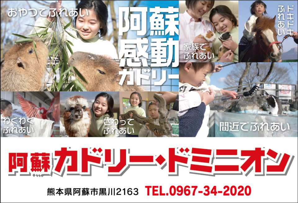 [JPY100 OFF for Advance Purchase] Aso Cuddly Dominion Admission Ticket in Kumamoto | Japan