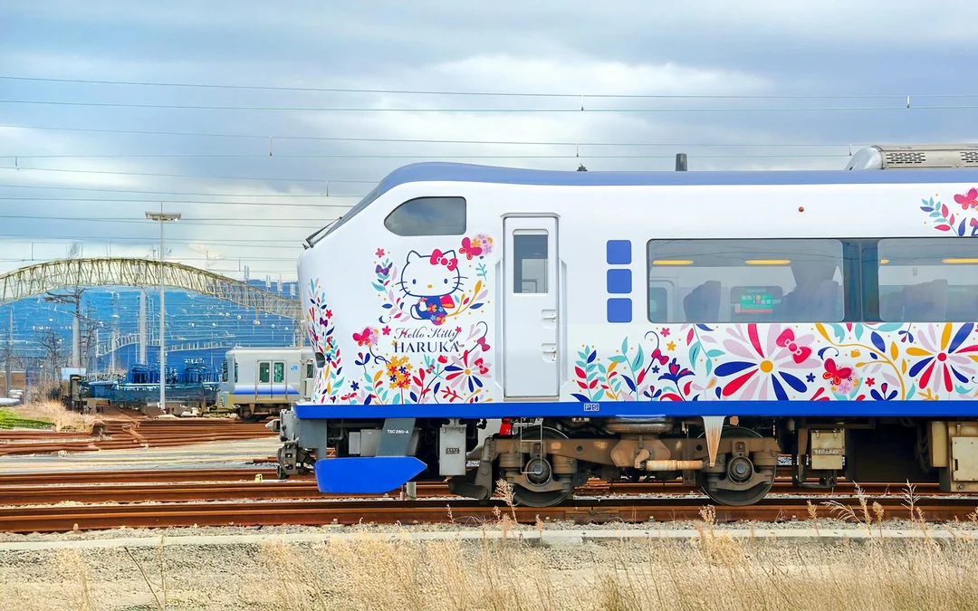 JR Haruka Kansai Airport Express: Train Transfers Between Kansai Airport & Osaka, Nara, or Kyoto Image 4