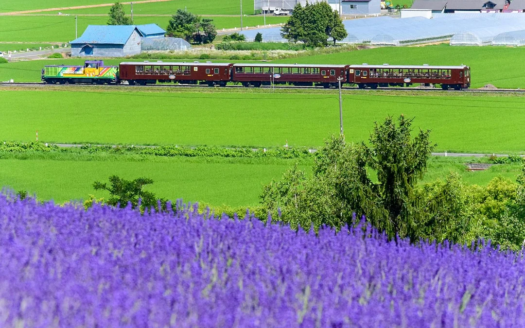 JR Hokkaido Rail Pass Image 4