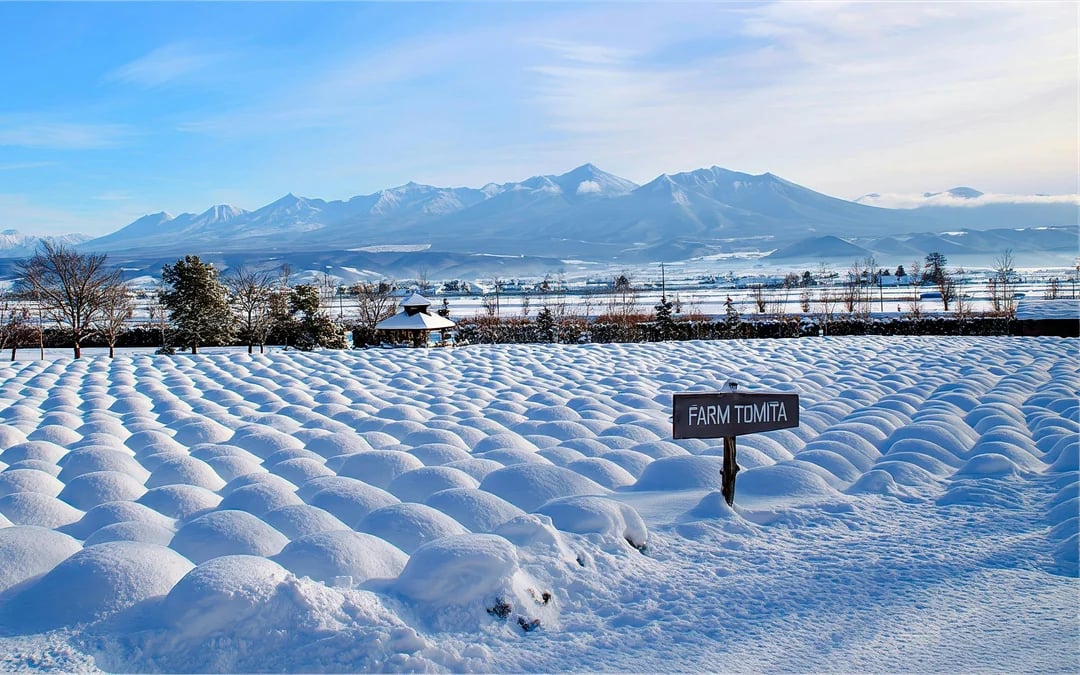 JR Hokkaido Sapporo-Furano Area Pass Image 2