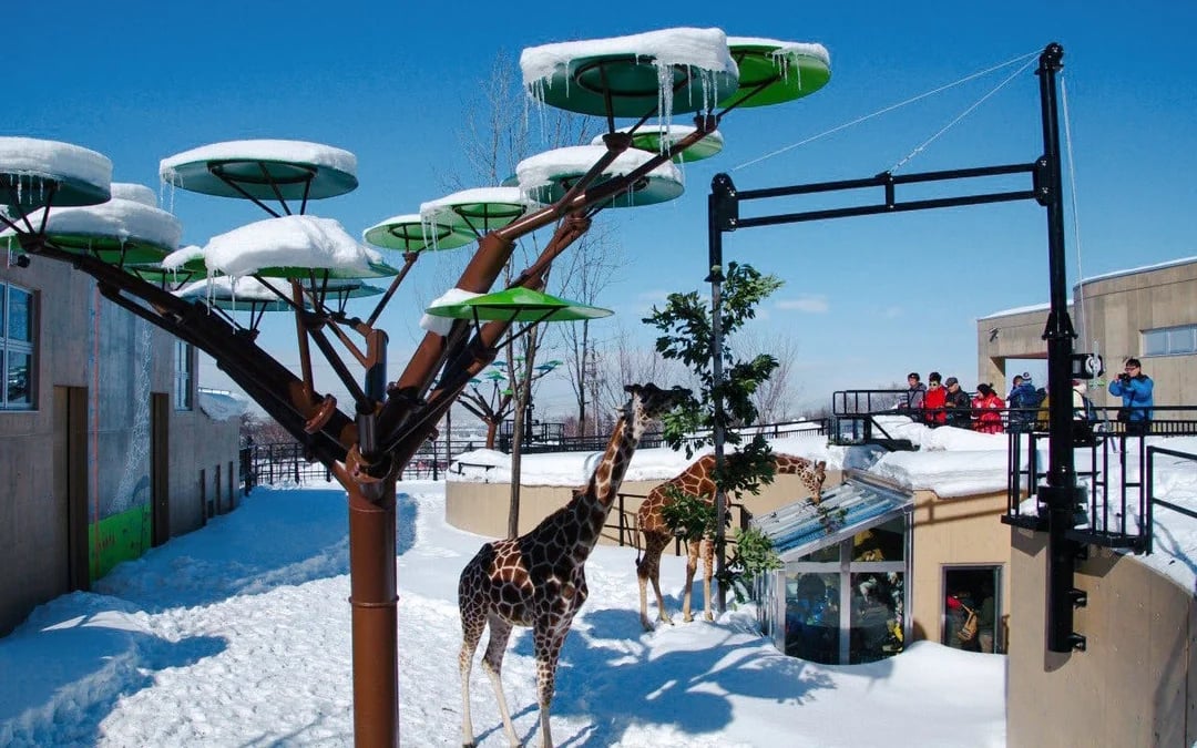 JR Hokkaido Sapporo-Furano Area Pass Image 4