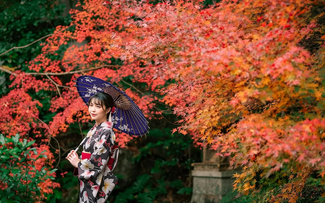 JR Kansai Mini Pass: 3-Day Unlimited Travel across Osaka, Kyoto, Nara & Kobe Image 4