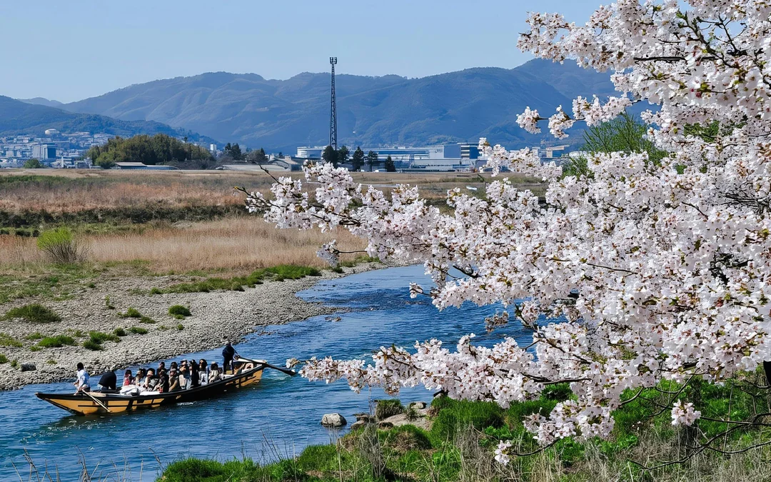 JR Kansai Mini Pass: 3-Day Unlimited Travel across Osaka, Kyoto, Nara & Kobe Image 5