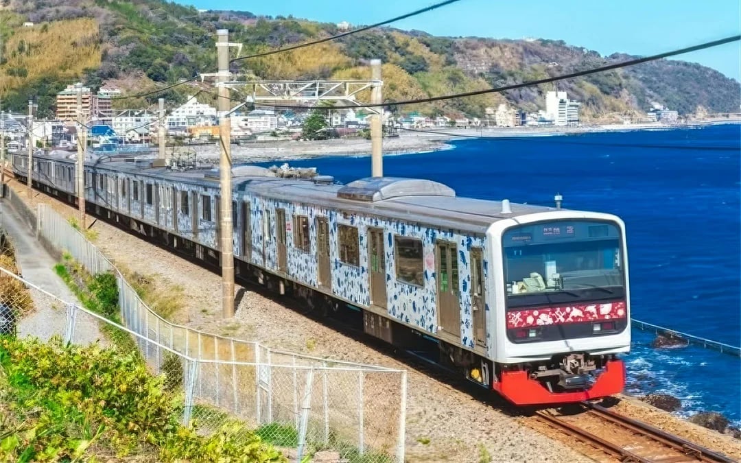  JR TOKYO Wide 3 Days Pass Image 8