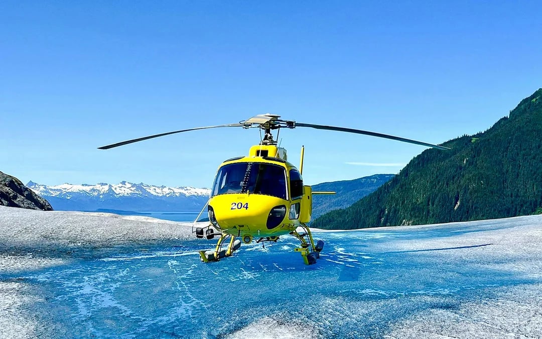 Juneau Glacier Helicopter Tour with Herbert Glacier Landing Image 7