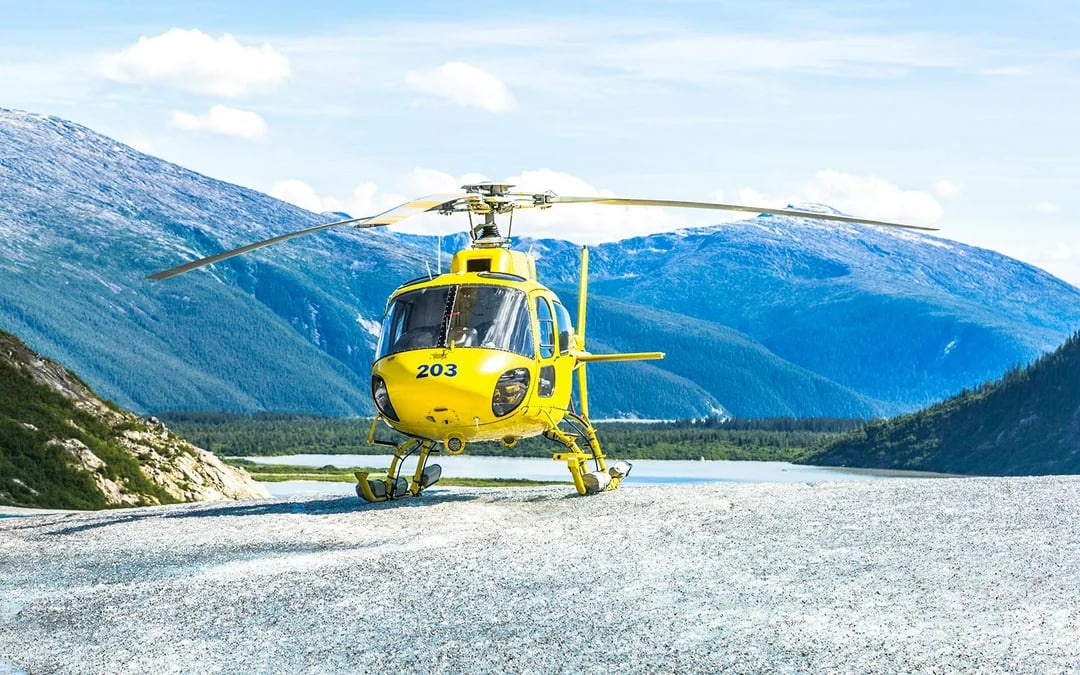 Juneau Helicopter Tour with Glacier Landing & Dog Sledding on Herbert Glacier Image 3