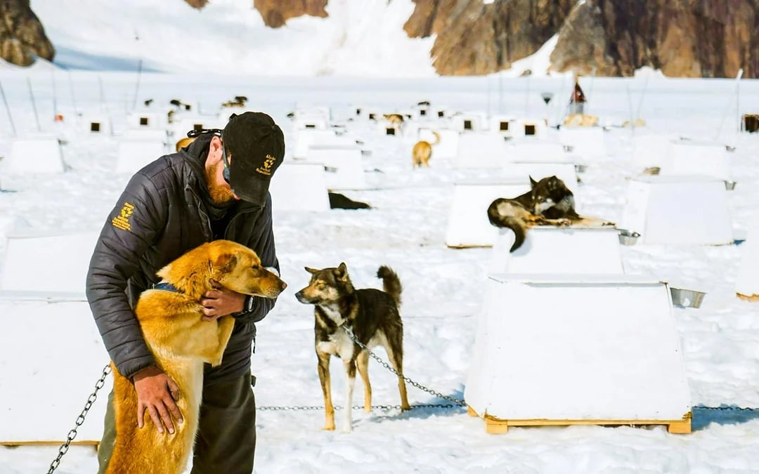Juneau Helicopter Tour with Glacier Landing & Dog Sledding on Herbert Glacier Image 6