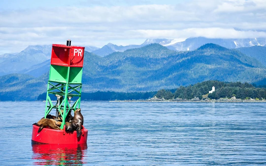 Juneau Jet Boat Whale Watching Tour Image 2