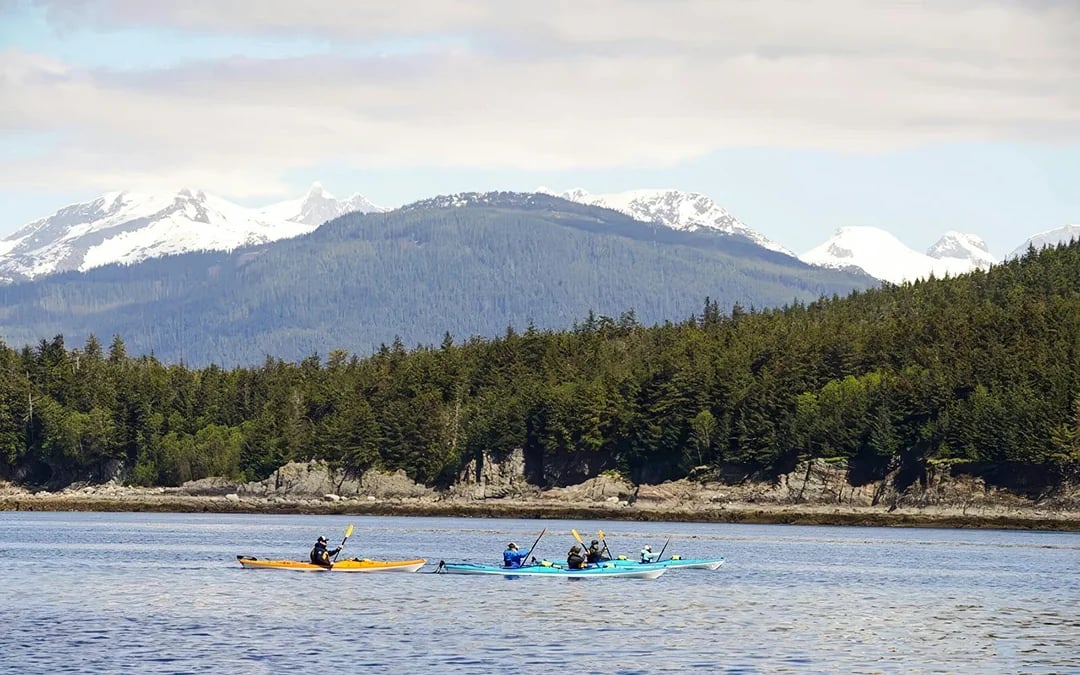 Juneau Kayak Whale Watching at Channel Islands State Marine Park Image 1