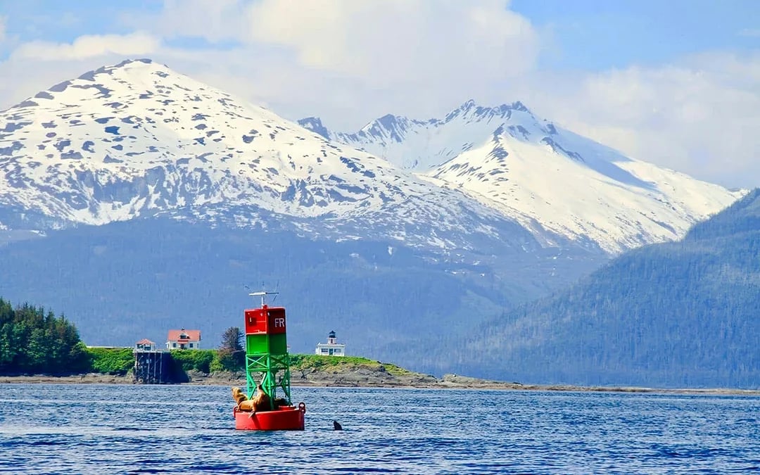 Juneau Kayak Whale Watching at Channel Islands State Marine Park Image 2